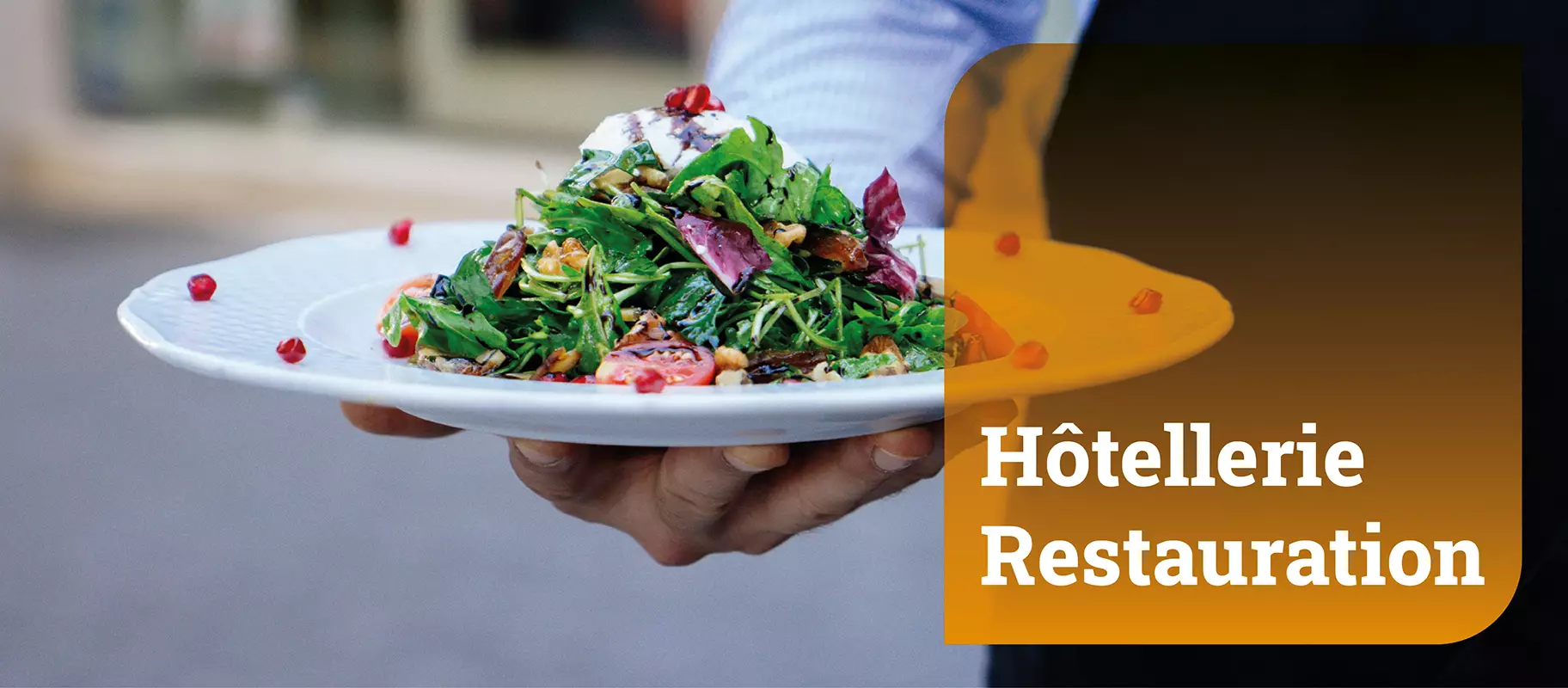 Fili&egrave;re H&ocirc;tellerie Restauration : photo d'un serveur pr&eacute;sentant une assiette de salade compos&eacute;e